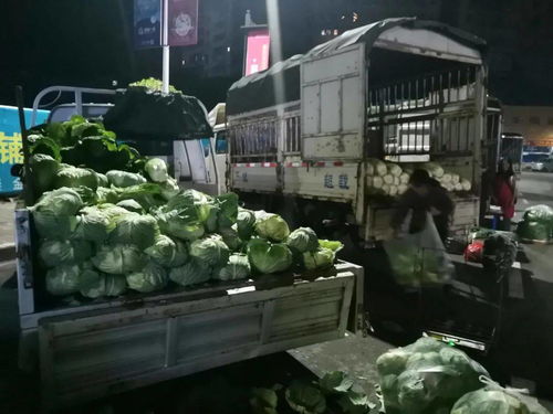 川祖廟農貿市場整體搬遷，京投果蔬農副產品批發市場引領忠縣商貿流通業轉型升級